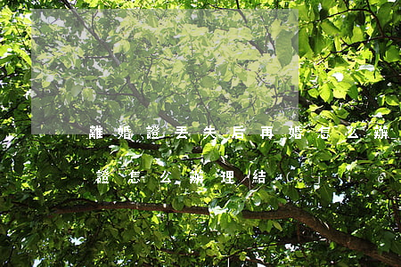 離婚證丟失后再婚怎么辦理結(jié)婚證（怎么辦理結(jié)婚證）