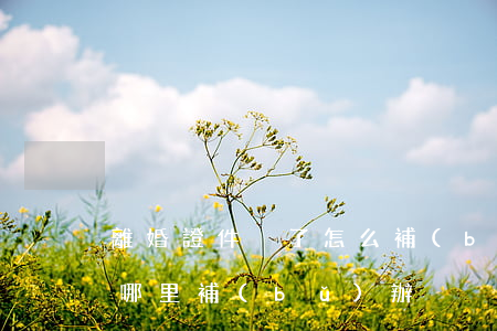 離婚證件丟了怎么補(bǔ)(離婚證丟了去哪里補(bǔ)辦)