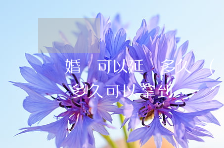 離婚證可以延遲多久領(lǐng)取(離婚證多久可以拿到)
