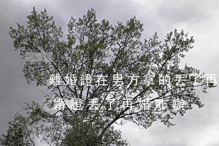 離婚證在男方拿的丟了再婚怎么辦(離婚后離婚證丟了再婚咋辦)