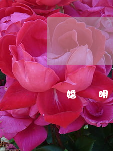 離婚證明怎么用(離婚生效證明去哪里開)