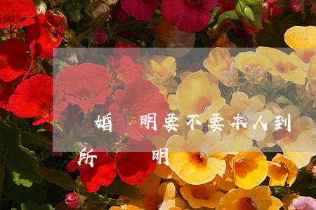 離婚證明要不要本人到現場(離婚需要去派出所開證明嗎)
