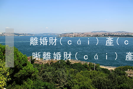 離婚財(cái)產(chǎn)分割不清晰(離婚財(cái)產(chǎn)分不清怎么辦)