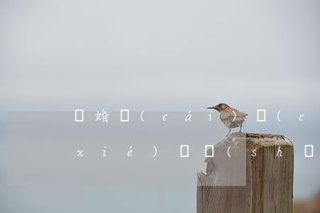 離婚財(cái)產(chǎn)分割協(xié)議書(shū)怎么寫(xiě)才有效(離婚后財(cái)產(chǎn)協(xié)議書(shū)怎么寫(xiě)才有效)