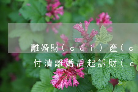 離婚財(cái)產(chǎn)分割多久付清(離婚后起訴財(cái)產(chǎn)分割需要多久)