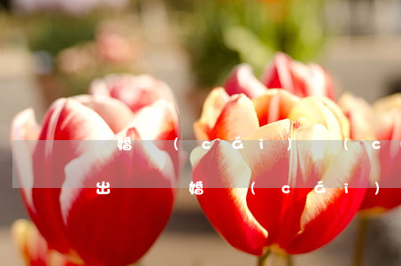 離婚 財(cái)產(chǎn)分割(女方出軌離婚 財(cái)產(chǎn)分割)
