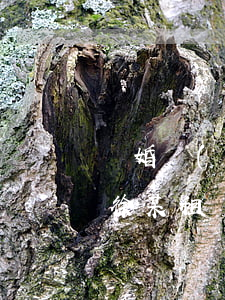 離婚財(cái)產(chǎn)分割案例：徐某租賃糾紛勝訴