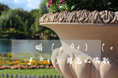 離婚財(cái)產(chǎn)律師費(fèi)用怎么收取(離婚律師費(fèi)用一般怎么收的)
