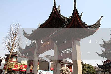 離婚財(cái)產(chǎn)申請強(qiáng)制執(zhí)行申請書范本(離婚申請執(zhí)行書怎么填寫)