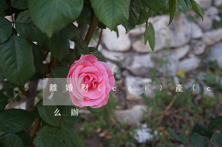 離婚財(cái)產(chǎn)的分割怎么辦