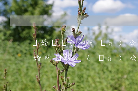 離婚財產(chǎn)公證費用怎么收費(離婚析產(chǎn)公證的費用)