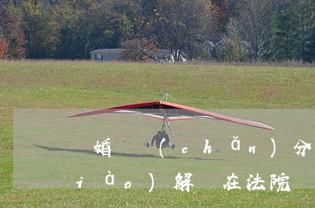 離婚財產(chǎn)分割可以司法調(diào)解嗎(在法院調(diào)解離婚,對財產(chǎn)分割后悔怎么辦)
