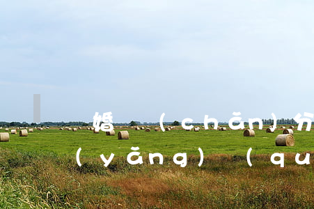 離婚財產(chǎn)分割和兩個孩子撫養(yǎng)權(quán)(離婚關(guān)于兩個孩子的撫養(yǎng)權(quán)怎么判定)