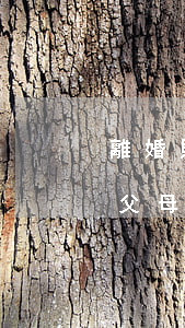 離婚財產(chǎn)分割女方父母能分嗎(父母離婚財產(chǎn)怎么分割)