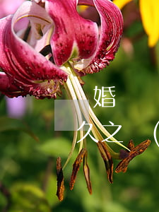 離婚財產(chǎn)分割需要多久(離婚多久之內(nèi)可以重新分割財產(chǎn))