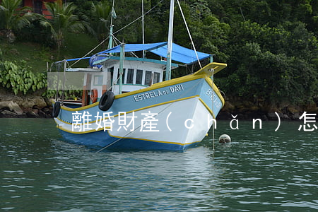離婚財產(chǎn)怎樣分配