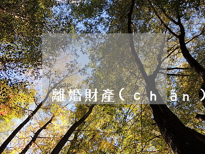 離婚財產(chǎn)有爭議多久可以判