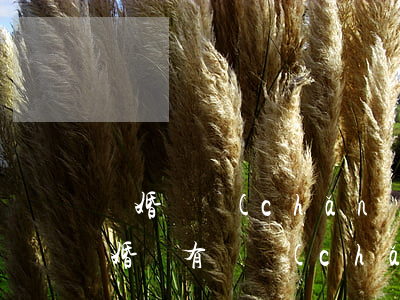 離婚財產(chǎn)法院可以判嗎(起訴離婚沒有財產(chǎn)糾紛法院會判離婚嗎)