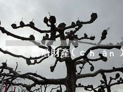 離婚財產(chǎn)糾紛