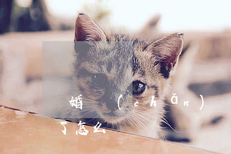 離婚財產(chǎn)轉(zhuǎn)移了怎么辦