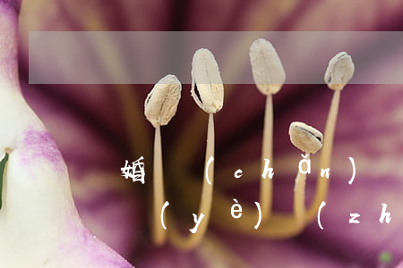 離婚財產(chǎn)轉(zhuǎn)移營業(yè)執(zhí)照怎么辦