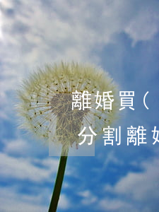 離婚買(mǎi)車(chē)首付款如何分割(離婚首付款怎么分割)