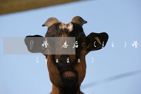離婚買房后復(fù)婚產(chǎn)權(quán)
