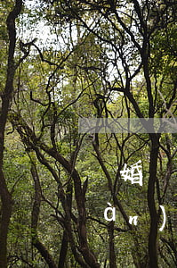 離婚買房子房產證(買房辦了離婚證現(xiàn)在真的離了)