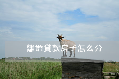 離婚貸款房子怎么分