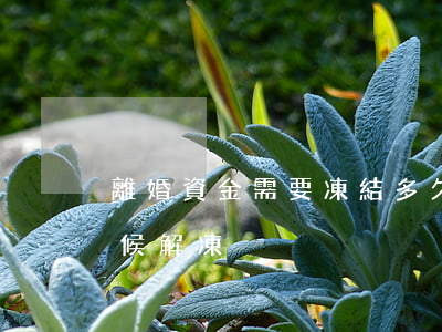 離婚資金需要凍結多久(離婚賬戶凍結什么時候解凍)