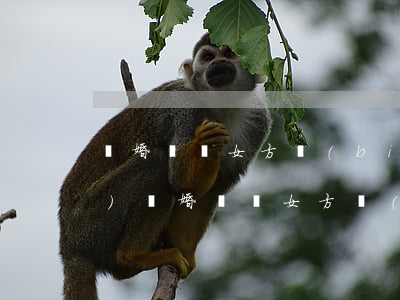 離婚賠償女方標(biāo)準(zhǔn)(離婚賠償女方標(biāo)準(zhǔn))