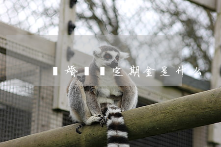 離婚賠償定期金是什么