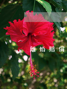 離婚賠償敲詐勒索(敲詐勒索賠償金額)