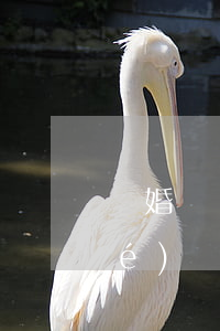 離婚賠償款男方不給多久過期(離婚協(xié)議時(shí)間到期男方不給錢)