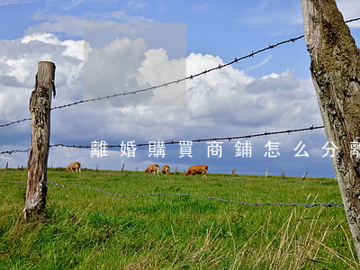 離婚購買商鋪怎么分(離婚店鋪分割)