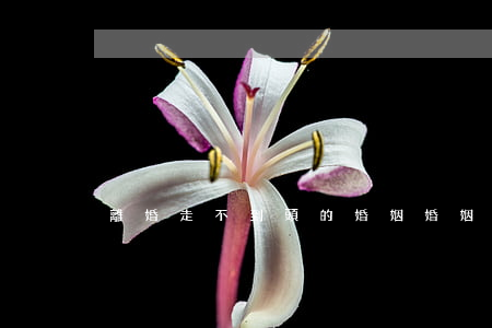 離婚走不到頭的婚姻(婚姻走到盡頭了怎么辦)