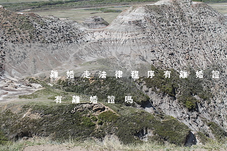 離婚走法律程序有離婚證嗎(離婚走法律程序有離婚證嗎)