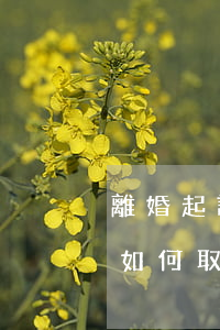 離婚起訴共同財(cái)產(chǎn)如何取證(妻子與他人同居,起訴離婚如何取證)