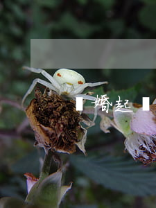 離婚起訴副本不回應(yīng)怎么辦