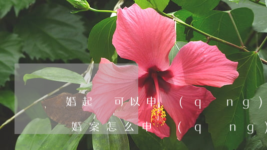 離婚起訴可以申請(qǐng)法律援助嗎(離婚案怎么申請(qǐng)法律援助)