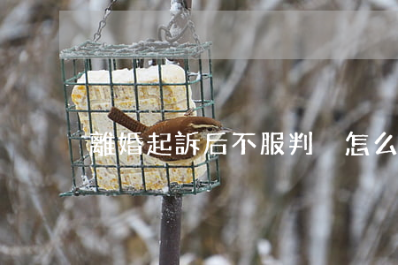 離婚起訴后不服判決怎么辦