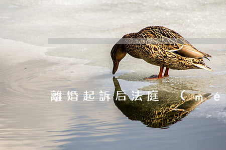 離婚起訴后法庭沒(méi)有判決怎么辦