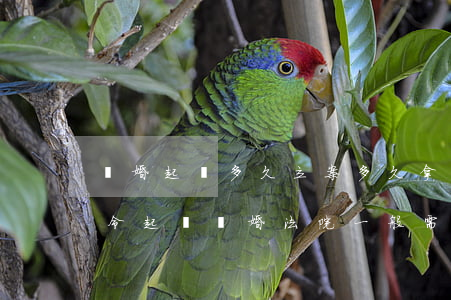 離婚起訴多久立案多久拿調(diào)查令(起訴離婚法院一般需要多長時間受理)