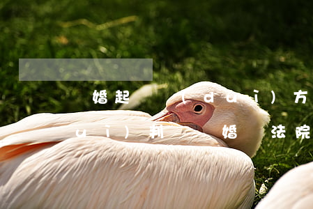 離婚起訴對(duì)方有偷渡行為會(huì)判決離婚嗎(法院起訴 離婚,什么情況下 才能判決離婚?)