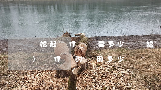 離婚起訴律師費要多少錢(離婚應(yīng)訴律師的費用多少)