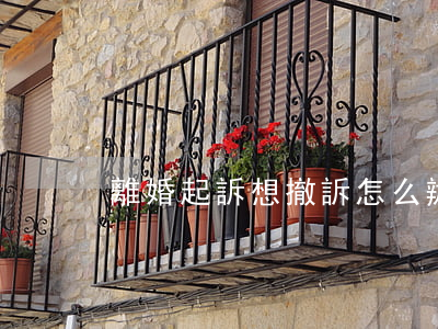 離婚起訴想撤訴怎么辦