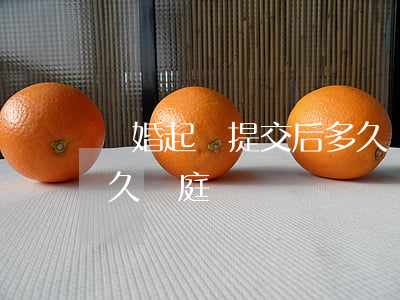 離婚起訴提交后多久開庭(離婚起訴提交后多久開庭)