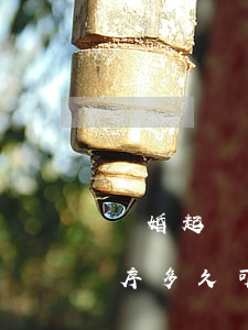 離婚起訴普通程序多久(起訴離婚需要什么程序 多久可以離)