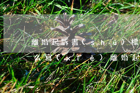 離婚起訴書(shū)標(biāo)題怎么寫(xiě)(離婚起訴書(shū)格式怎么寫(xiě))