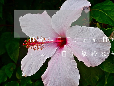 離婚起訴書(shū)模板詳細(xì)寫(xiě)能修改的(離婚民事起訴狀怎么寫(xiě)模板)